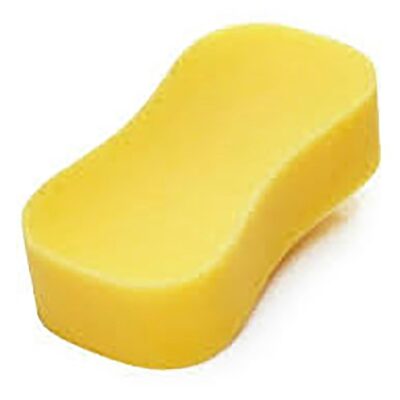 Sponge