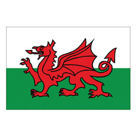 Waveline Wales Courtesy Flag 45x30cm Printed-0