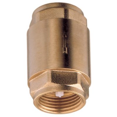 SPRING CHECK VALVE 3/8"BSP