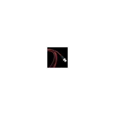 Raymarine STNG Power Cable 2m A06049